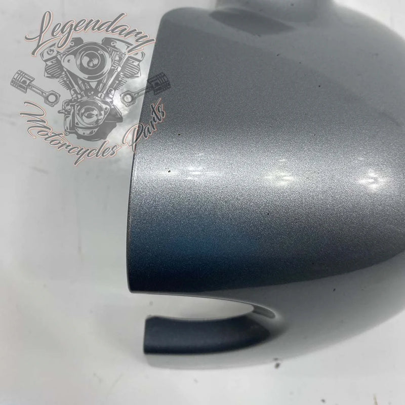 Linker unterer Verkleidungsklappen OEM 57100111