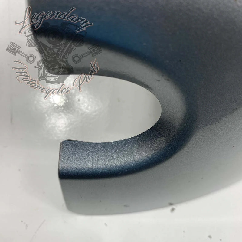 Linker unterer Verkleidungsklappen OEM 57100111