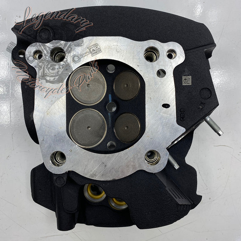 Rear Cylinder Head OEM 16500404 (16500388)