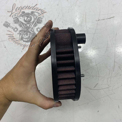 Filtro dell'aria OEM 29369-07B