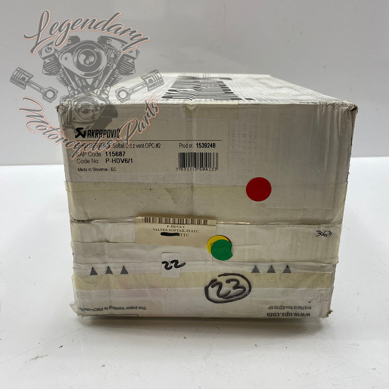 Sistema di valvola di scarico Akrapovic OEM P-HDV6/1
