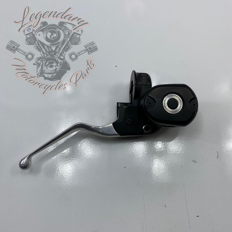Front Brake Lever and Master Cylinder OEM 41700004