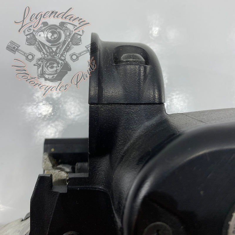 Front Brake Lever and Master Cylinder OEM 41700004