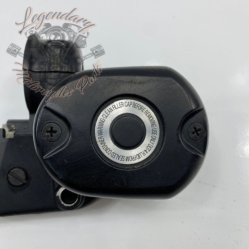 Front Brake Lever and Master Cylinder OEM 41700004