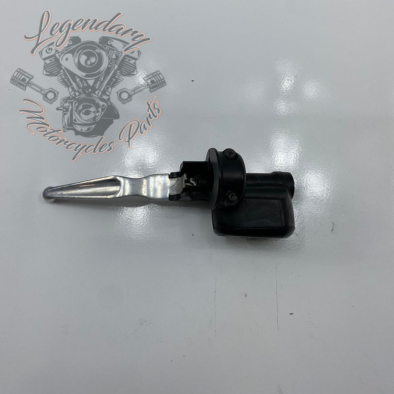 Front Brake Lever and Master Cylinder OEM 41700004