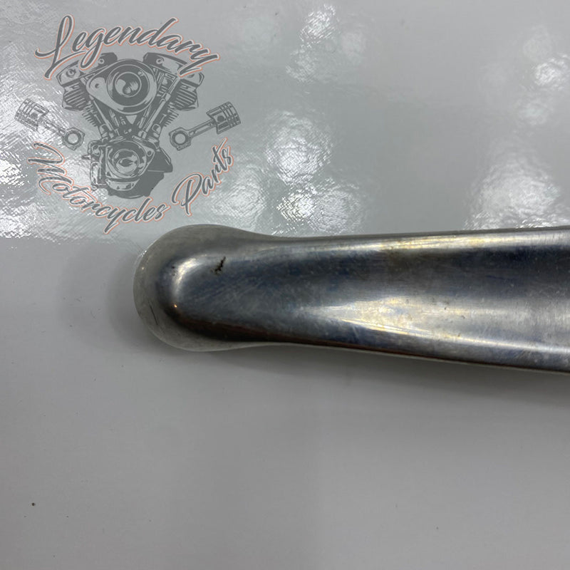 Front Brake Lever and Master Cylinder OEM 41700004