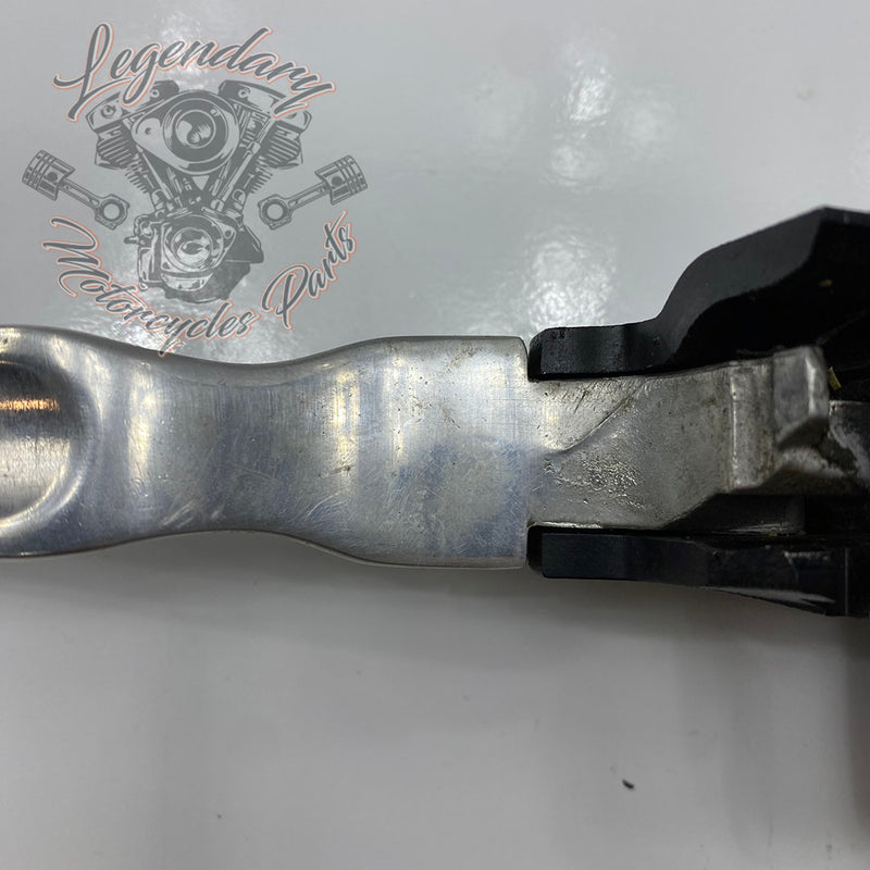Front Brake Lever and Master Cylinder OEM 41700004