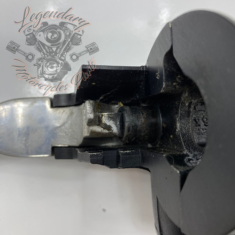 Front Brake Lever and Master Cylinder OEM 41700004