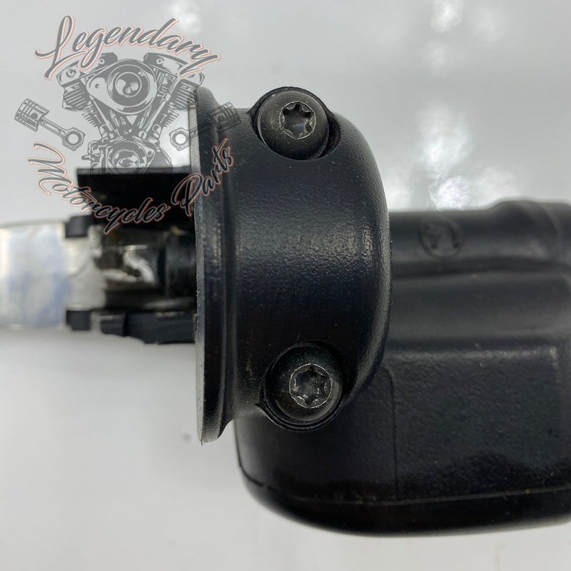 Front Brake Lever and Master Cylinder OEM 41700004