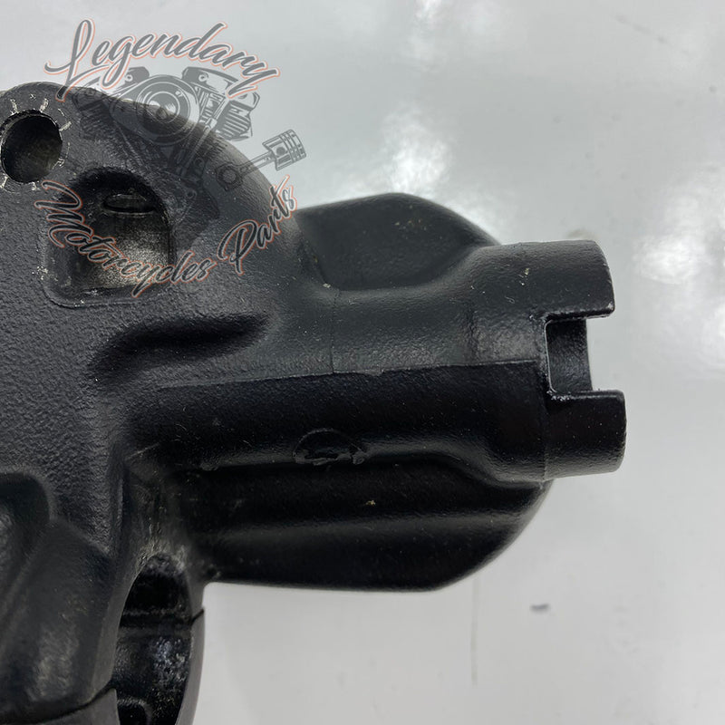Front Brake Lever and Master Cylinder OEM 41700004