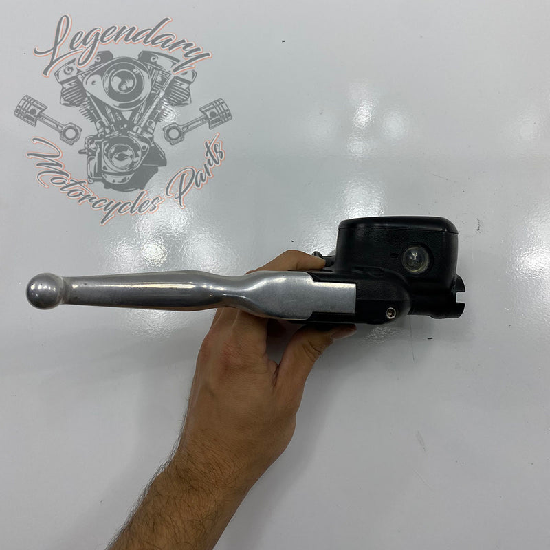 Front Brake Lever and Master Cylinder OEM 41700004