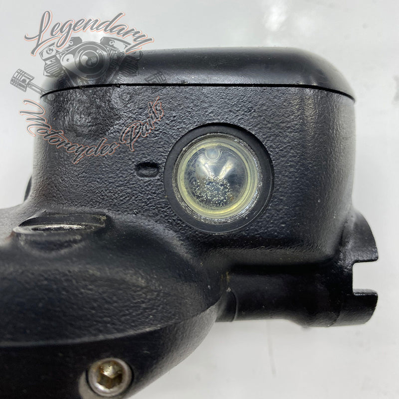 Front Brake Lever and Master Cylinder OEM 41700004