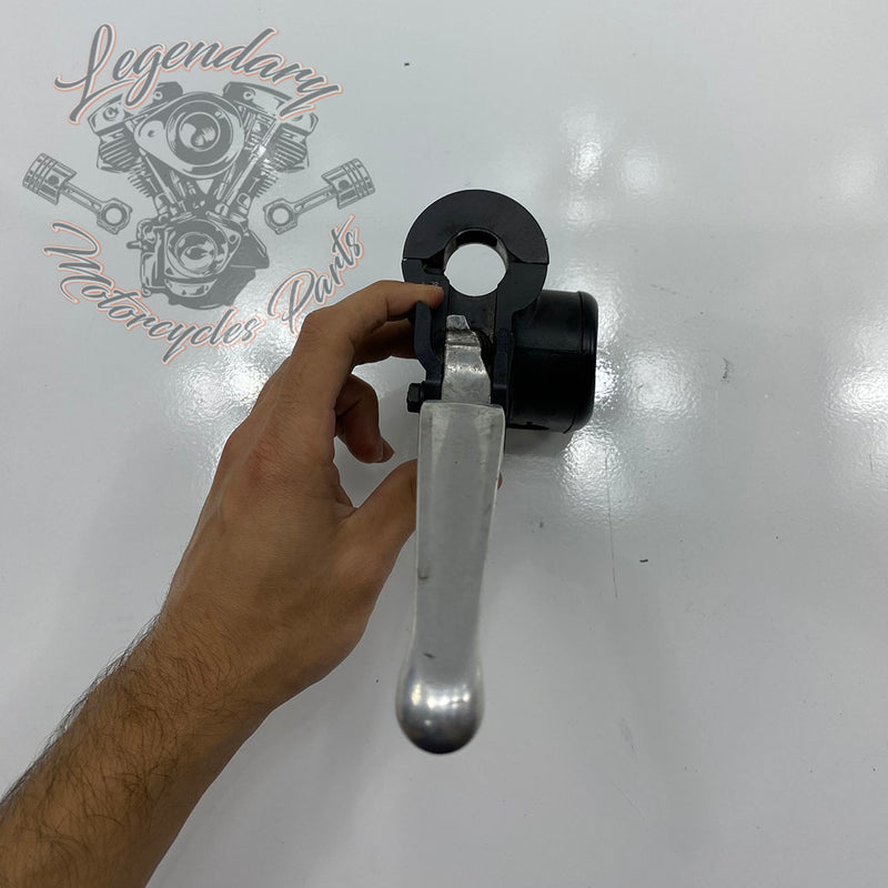 Front Brake Lever and Master Cylinder OEM 41700004