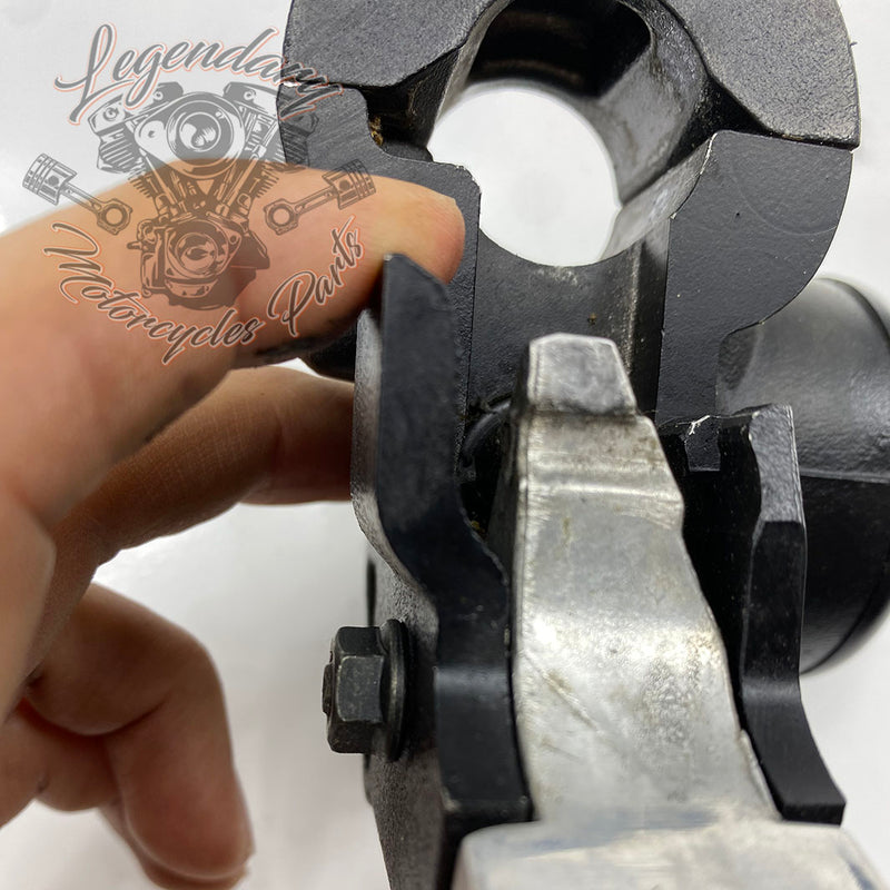 Front Brake Lever and Master Cylinder OEM 41700004