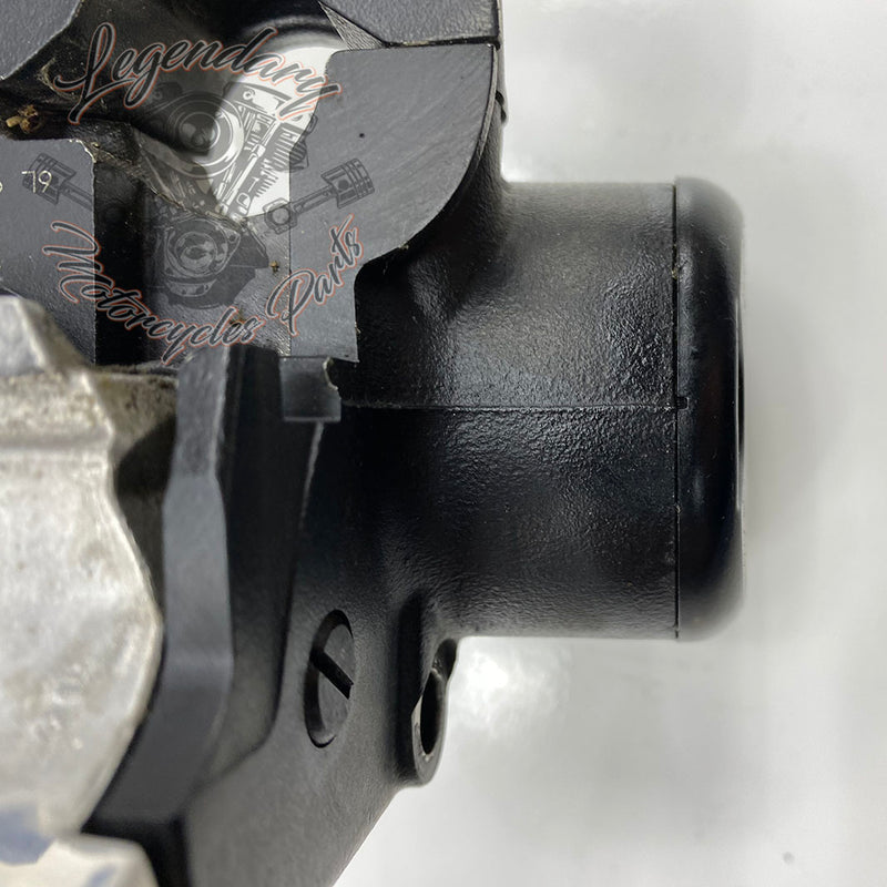 Front Brake Lever and Master Cylinder OEM 41700004