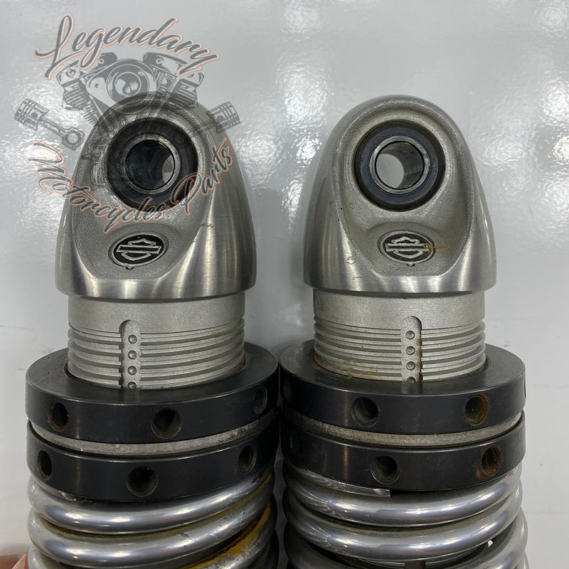 Ammortizzatori OEM 54000085