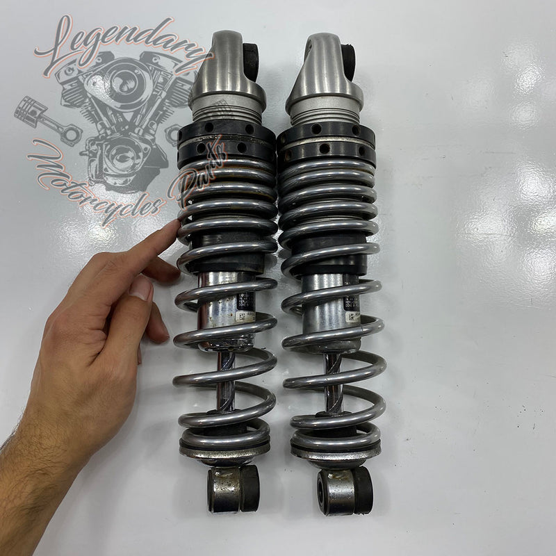 Ammortizzatori OEM 54000085