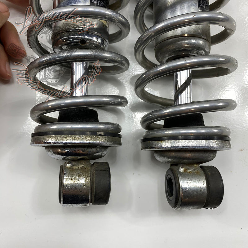 Ammortizzatori OEM 54000085