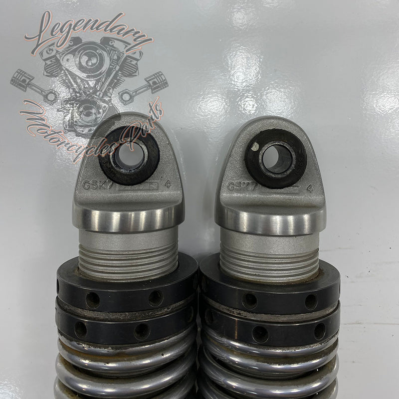 Ammortizzatori OEM 54000085