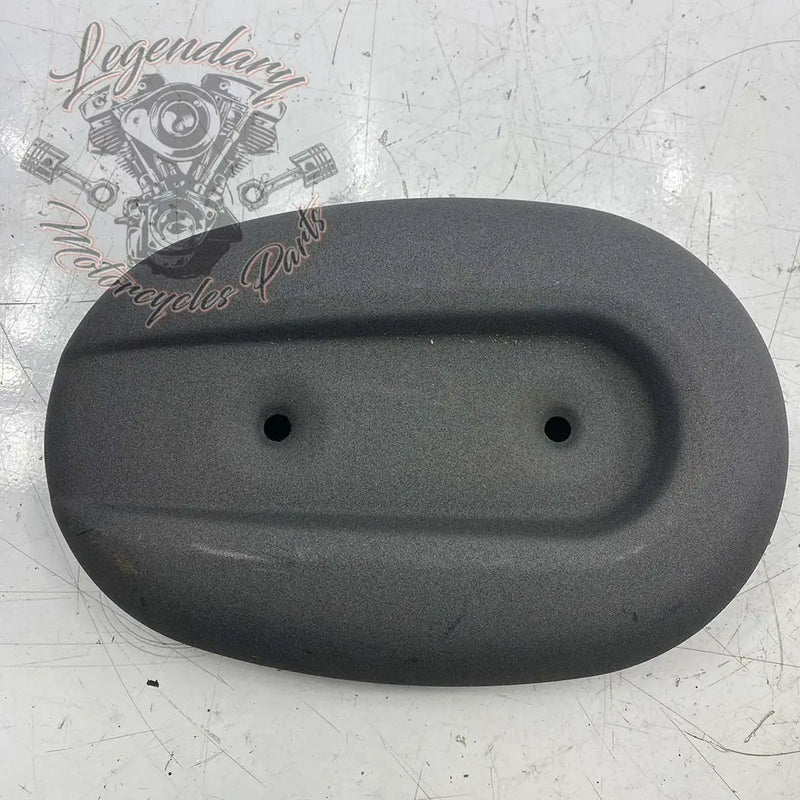Boîtier de filtre à air OEM 28793-10