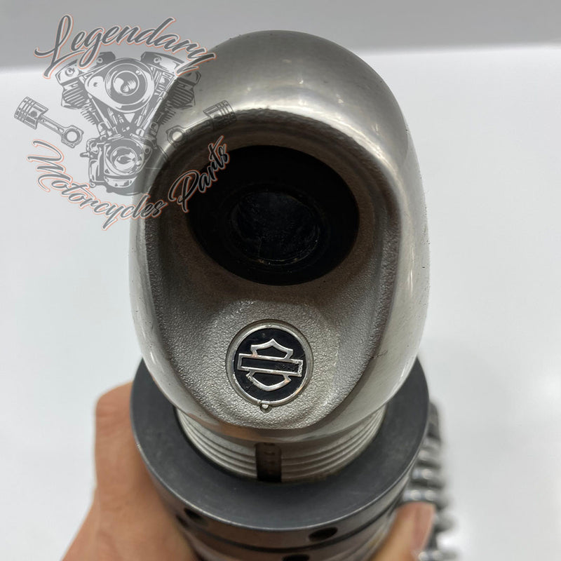 Ammortizzatori OEM 54000085