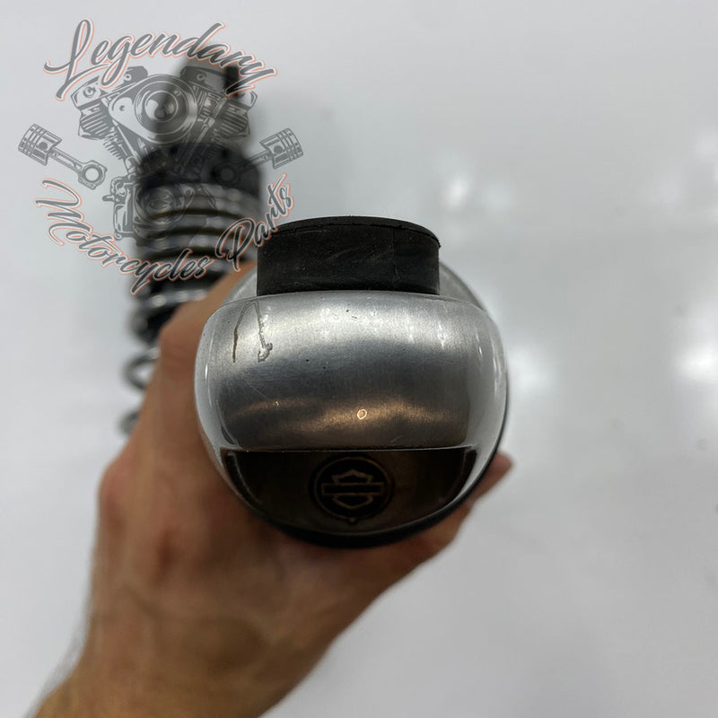 Ammortizzatori OEM 54000085