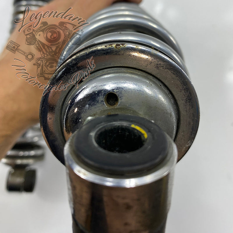 Ammortizzatori OEM 54000085