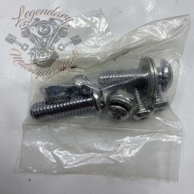 Plaques latérales rigides de support de sissy bar OEM 52094-00