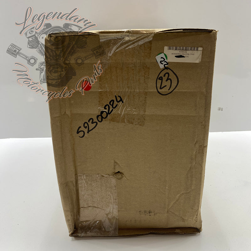 Carpeta para piloto OEM 52300224
