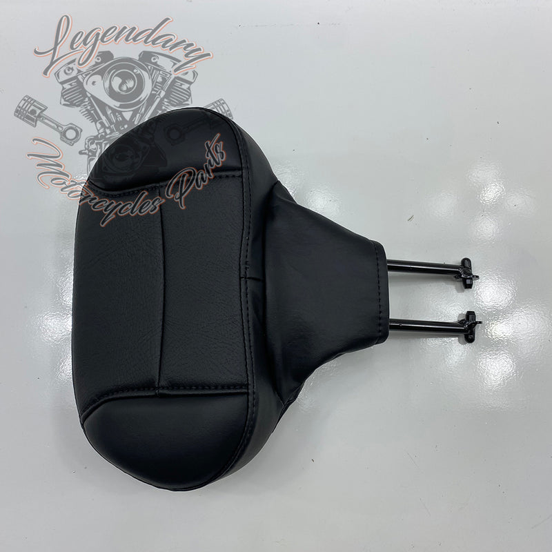 Carpeta para piloto OEM 52300224