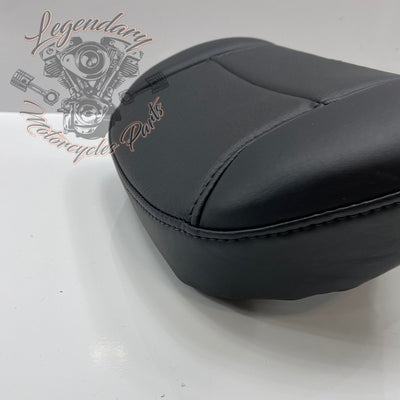 Carpeta para piloto OEM 52300224