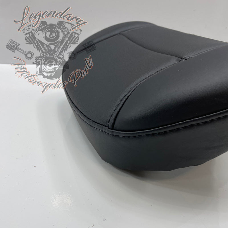 Carpeta para piloto OEM 52300224