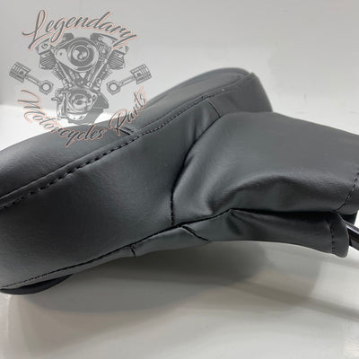 Carpeta para piloto OEM 52300224
