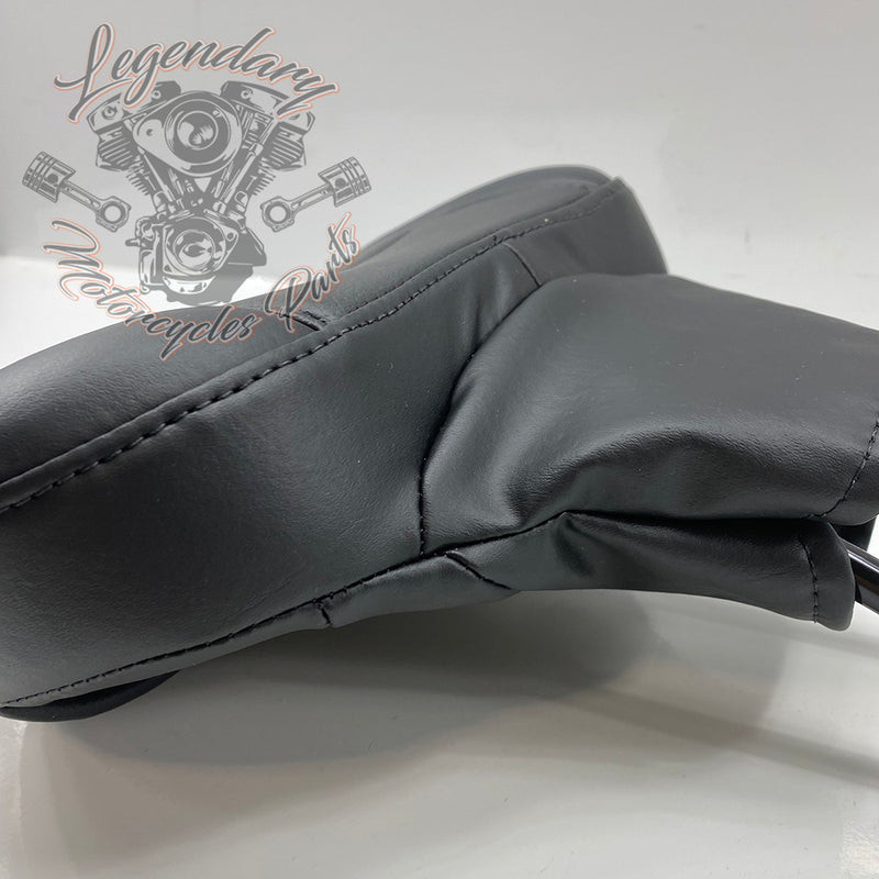 Carpeta para piloto OEM 52300224