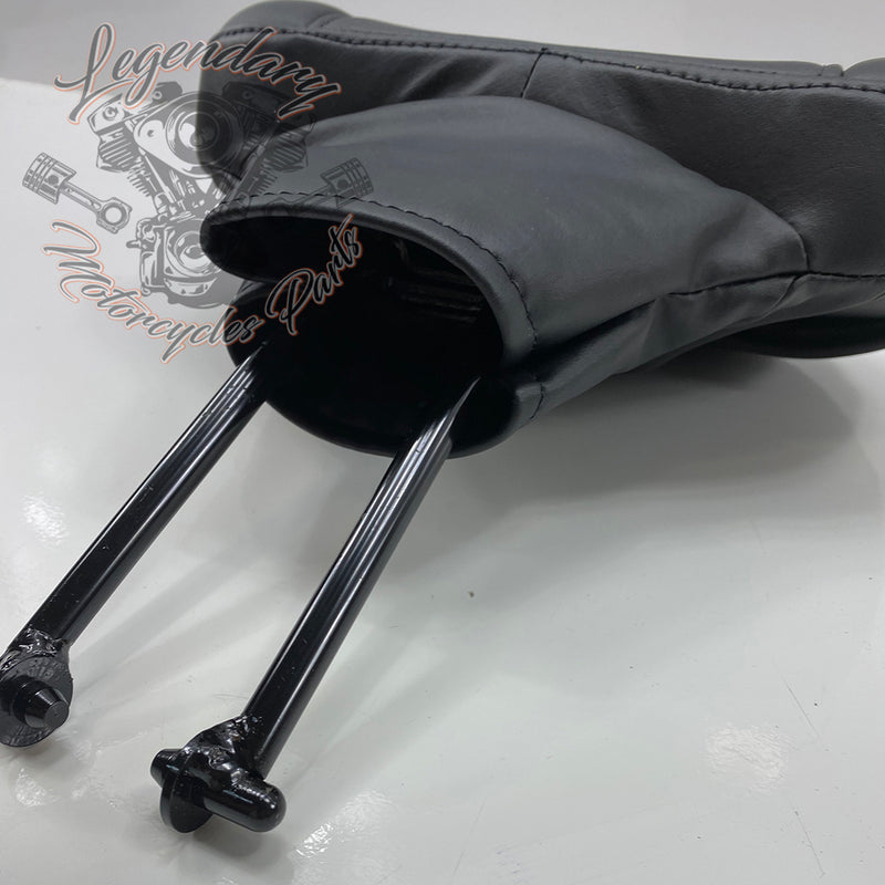 Carpeta para piloto OEM 52300224