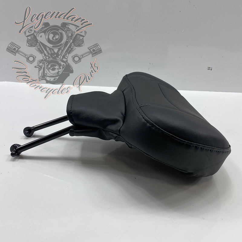 Carpeta para piloto OEM 52300224