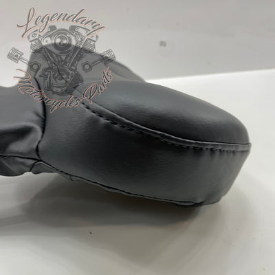 Carpeta para piloto OEM 52300224