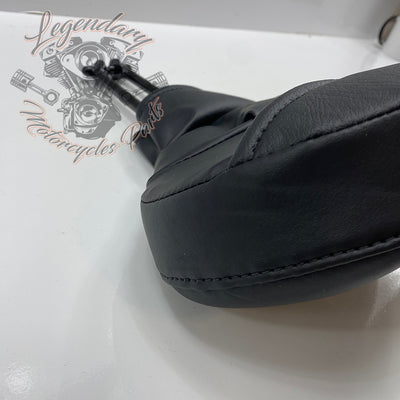 Carpeta para piloto OEM 52300224