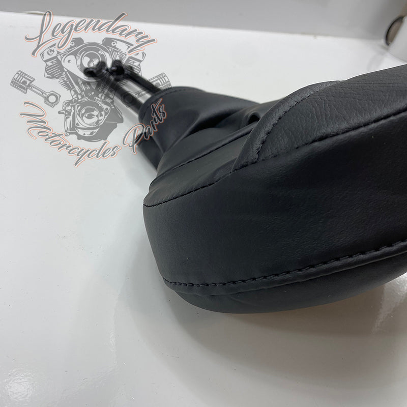 Carpeta para piloto OEM 52300224