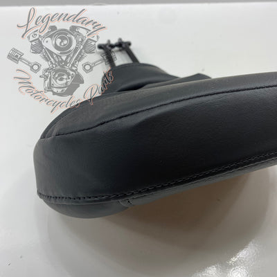Carpeta para piloto OEM 52300224