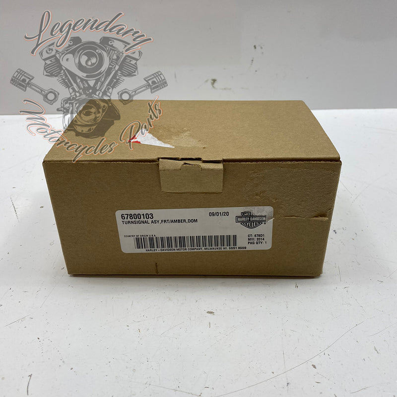 Sprednja smerna luč OEM 67800103