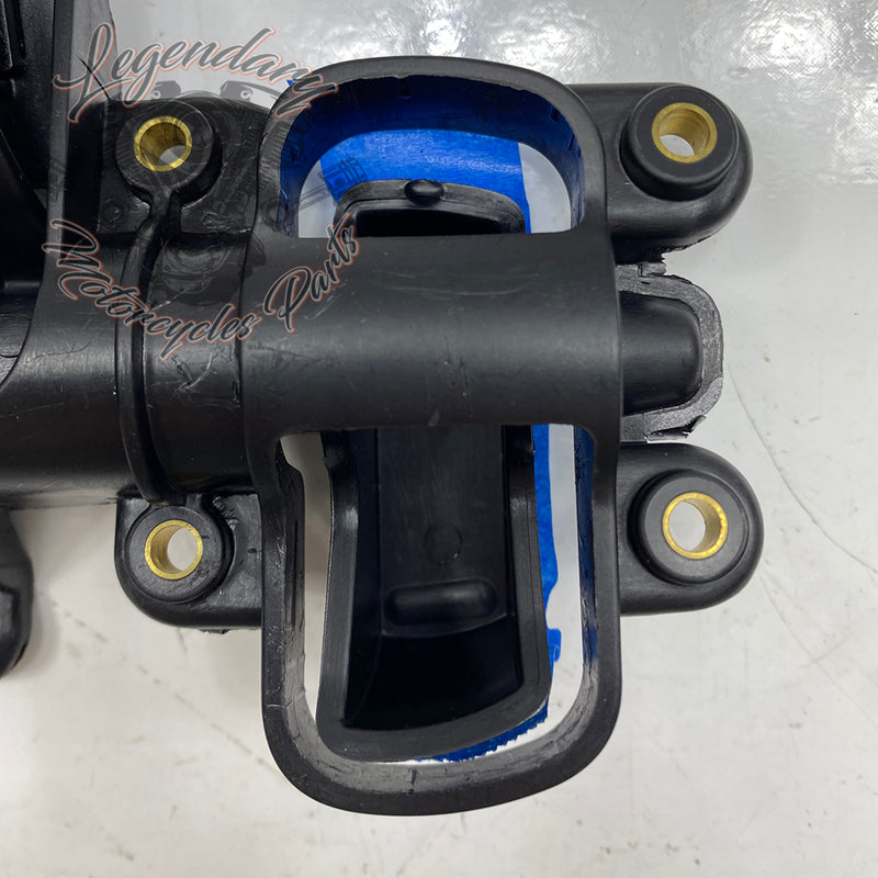 Bouton de mécanisme de fairing OEM 29200075