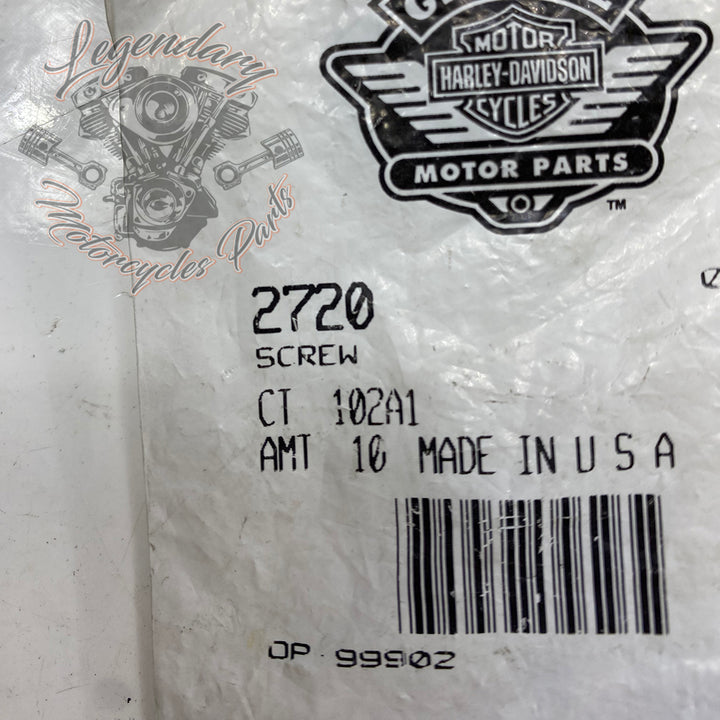 OEM Stator Screw 2720 – Legendary Parts