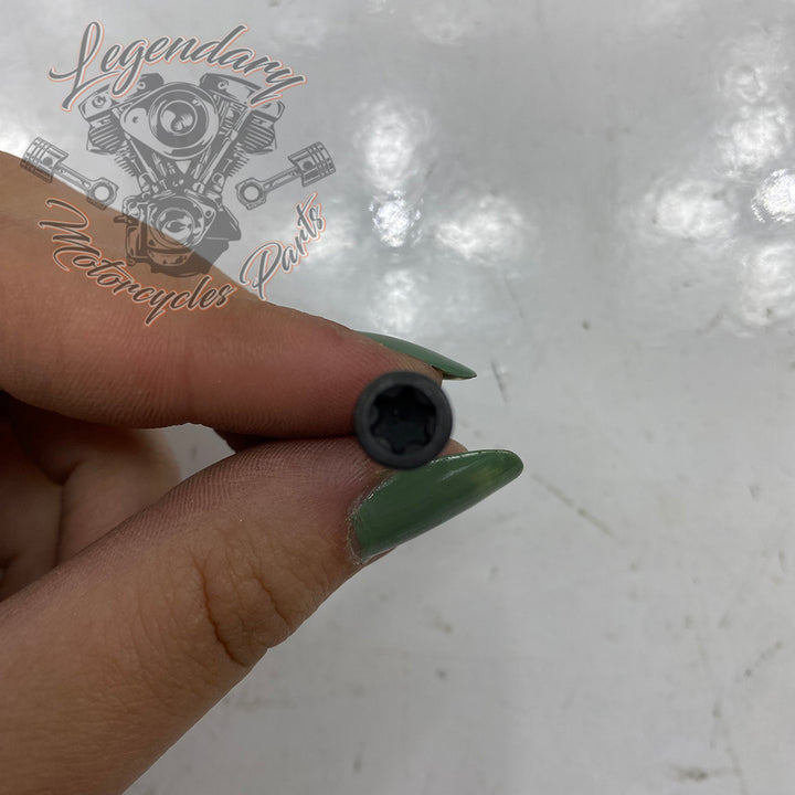 OEM Stator Screw 2720 – Legendary Parts