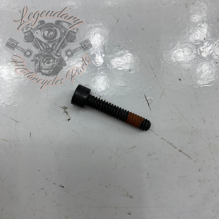 OEM Stator Screw 2720 – Legendary Parts