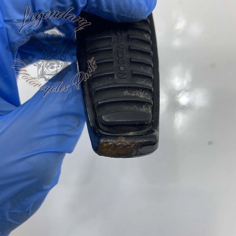 Rechter Fußrasten OEM 33134-07CAZ
