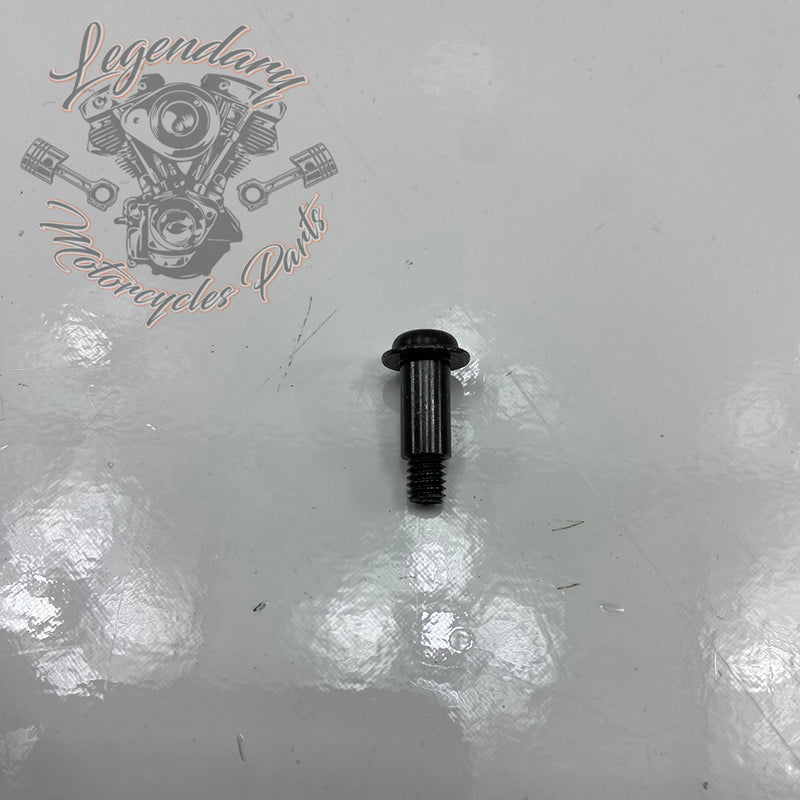 Carburetor Cover Screw OEM 27262-96
