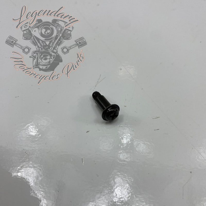 Carburetor Cover Screw OEM 27262-96