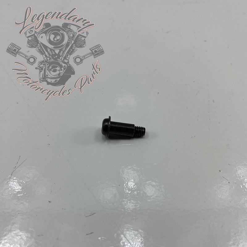 Carburetor Cover Screw OEM 27262-96
