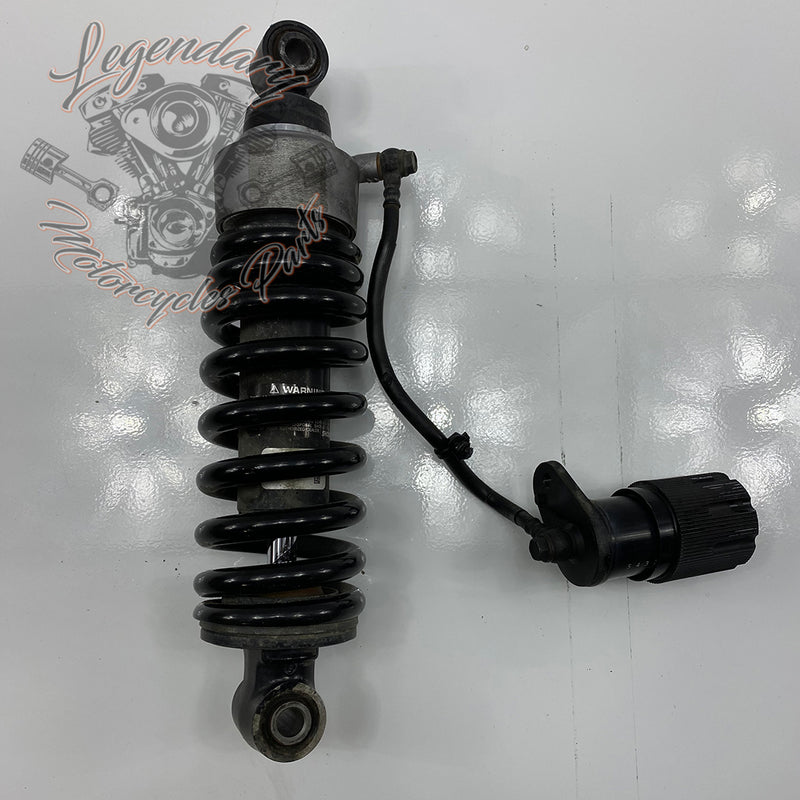 Shock Absorber OEM 54000112